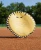 Wilson 27' A1000 Pancake Trainer Glove