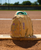 Wilson 2027 A700 12.5" Fastpitch Softball Outfield Glove