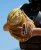 Wilson 27' A1000 PF33 Catcher's Mitt