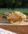 Wilson 27' A1000 PF33 Catcher's Mitt