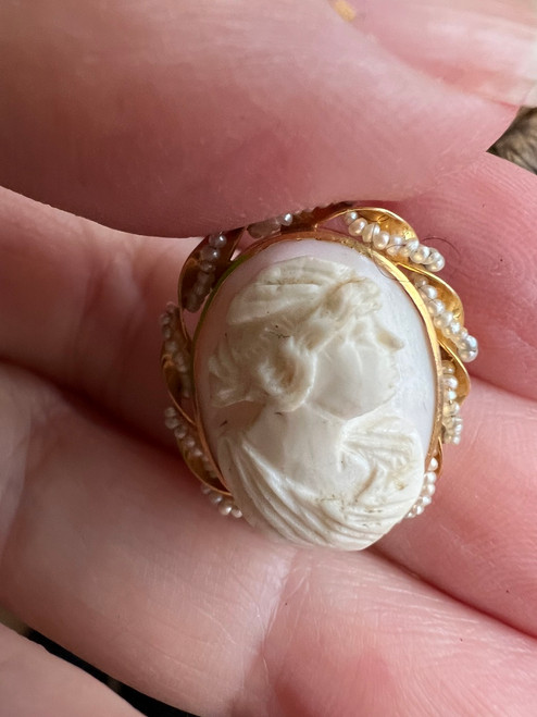 Antique Victorian 10k Yellow Gold Scrolled Seed Pearl Shell Cameo Brooch Pin