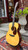 2013 CF Martin Custom Shop 000-14 FGL w/ OHC, Pro Setup, Acoustic Guitar