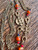 Vintage Egyptian Revival Medallion Scarab Chain Necklace 1970's Gold Plated 48"