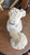 Vintage Spaghetti Poodle Figurine – MCM White Ceramic Porcelain Dog