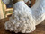 Vintage Spaghetti Poodle Figurine – MCM White Ceramic Porcelain Dog