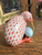 Herend Hungary Kiwi Bird Rust Fishnet Porcelain Figurine 24K Gold Accents ~ 1992
