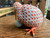 Herend Hungary Kiwi Bird Rust Fishnet Porcelain Figurine 24K Gold Accents ~ 1992