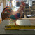 Herend Hungary Rooster Rust Fishnet #5031 Hand Painted Porcelain Figurine 24k