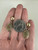 Vintage 12k GF Scarab Carved Unakite Dangle/Drop Screw Back Earrings 1.25”