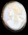 Antique 1860 10K Gold Pink Conch Shell Cameo Pin Victorian Classical Beauty 1.5"