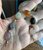 Antique Deco 10k Gold Lapis, Rose Quartz, Jade, Scarab Gemstone Bracelet 7.5"