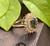 Reserved for Ksenia: Vintage 14k Yellow Gold Green Tourmaline White Spinel Cocktail Ring Size 6.75