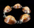 Antique Deco Sterling Hawaiian Snakehead Cowrie Shell Link Bracelet 7.75”