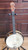 Antique 1930s Sterling Tenor Banjo - New Tailpiece and Bridge - Fully Set Up!