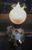 Antique Miniature Oil Lamp Baccarat Sitzendorf Porc & Vaseline Glass Floral 9.5"