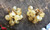 Vintage Givre Glass 2 Two Tone Amber Cream Dangle Bead Clip Back Earrings