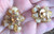 Vintage Givre Glass 2 Two Tone Amber Cream Dangle Bead Clip Back Earrings
