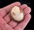 Antique Deco 800 European Silver Cameo Filigree Silverwork Brooch Pendant 1.75”