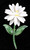 Vintage Signed Sandor Enamel Daisy Pin Brooch Gloss Finish Flower On Stem 3"