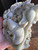Vintage MCM Chinese Hetian White Jade Carving Statue Fish Coin Good Fortune 7”
