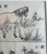 Antique Meiji Japanese Chow Chow Dog Horse Art Woodblock Print Ukiyo-e Framed