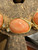 Vintage Designer Gold Plated Peach Resin White Rhinestone Link Necklace 18”