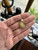 Vintage 12K GF Gold Filled Pearl Etruscan Design Sea Shell Necklace 17”Hartzberg