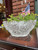Antique Cut Glass Crystal Bowl American Brilliant Heavy 9.25” Sawtooth Starburst