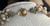 Miriam Haskell 5-strand Gripoix Beige Glass Bead Bronze Rondelle Necklace 15"