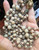 Miriam Haskell 5-strand Gripoix Beige Glass Bead Bronze Rondelle Necklace 15"