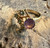 Vintage .68ct Round Amethyst  & Paste Halley's Comet Gold Plated Ring sz 7.25