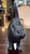 Antique Wedgwood Basalt Cat w/ Glass Amber Eyes c. 1915 ~ Ernest Light ~ VG ~