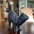 Antique Wedgwood Basalt Cat w/ Glass Amber Eyes c. 1915 ~ Ernest Light ~ VG ~