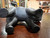 Antique Wedgwood Basalt Cat w/ Glass Amber Eyes c. 1915 ~ Ernest Light ~ VG ~