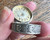 Antique 800 Silver Daisy Laurel Leaf Rnd Trinket Pill Box Repousse Hanau Germany