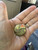 Antique  1898 Remember the Maine “Blood in the Water” Pin Back Spanish  War