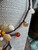 Vintage Carnelian Quartz Gemstone Orange Flower Spray Necklace Earrings Set 19"”