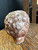 Antique Victorian Terracotta Classical Head – Greco Roman Revival Bust