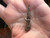 Antique Miniature Fob Watch Chain Charm Monkey Pipe Wrench Working  Cute 1.5" L