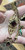 Antique Nouveau Ormolu Sewing Chatelaine Pocket Watch Chain Fob Dog Clip Clasp