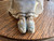 Vintage Lladró #4865 "Insular Embroideress" Porcelain Figurine - 1974