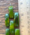 Antique Deco Bakelite Olive Green Marbleized Gold Wide Link Bracelet 8" x 1.25" H
