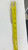 Antique Hotchkiss & Schreuder Sterling Silver Victorian Fish Knife (c.1860s) 9"