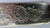 Antique 1847 Rogers Bros A1 Silverplate Fish Serving Knife Floral Engraved - 11"