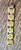 Vintage MCM Studio Enamel Copper Abstract Link 1950's Bracelet Sm Wrist 5 3/4"