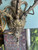 Vintage 1940s Leviton 3-Light Wall Sconce MCM Grape Vine Brass Fixture - Works!