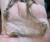Vintage MCM Gold Plated 2 Tone  Sq Cable  Circle Stations Chain Bracelet 8 3/8"