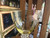 Vintage Cambridge Glass Figural Nude Stem Glass - Wine Goblet – Yellow Bowl #2
