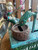 Vintage Cast Iron Mechanical Coin Bank Fishing Theme “The One That Got Away”