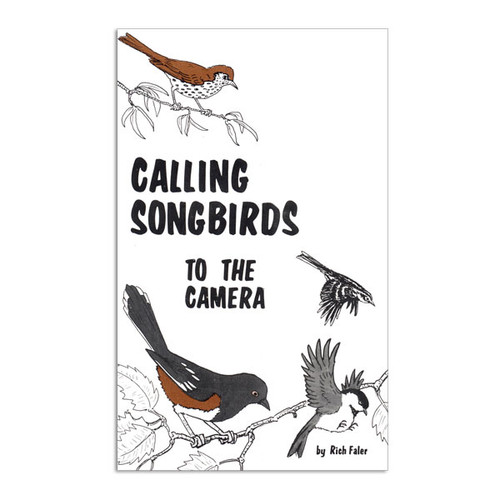 Calling Songbirds To The Camera